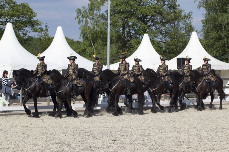 Friezenteam Avalon: piraten op paarden