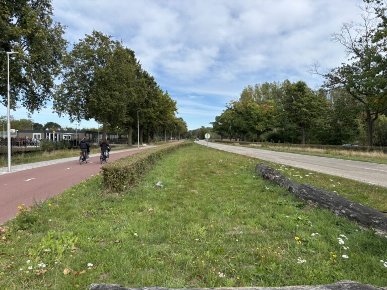 Het fietspad langs de Eindhovenseweg