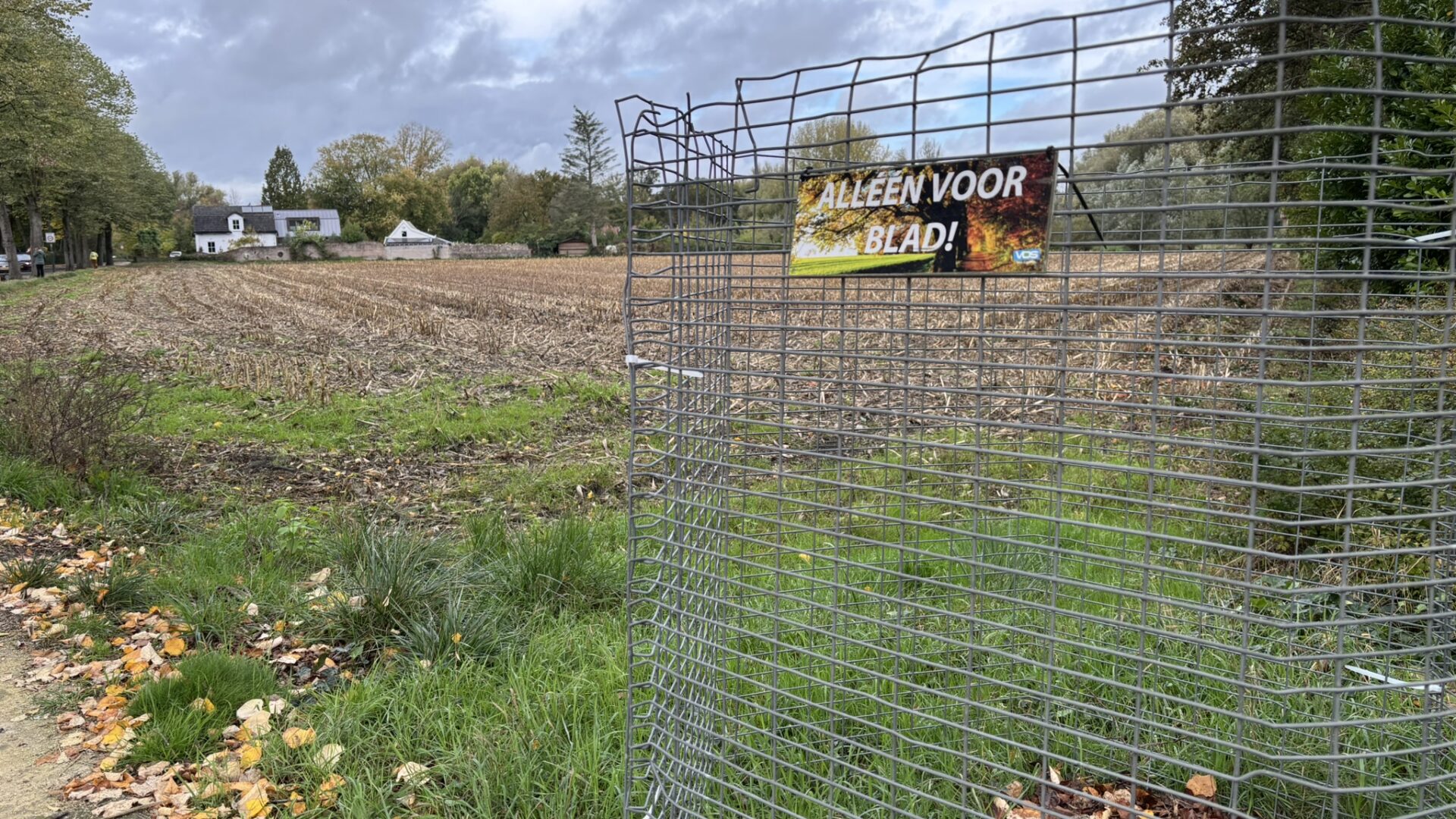 Bladkorven weer te vinden in Son en Breugel