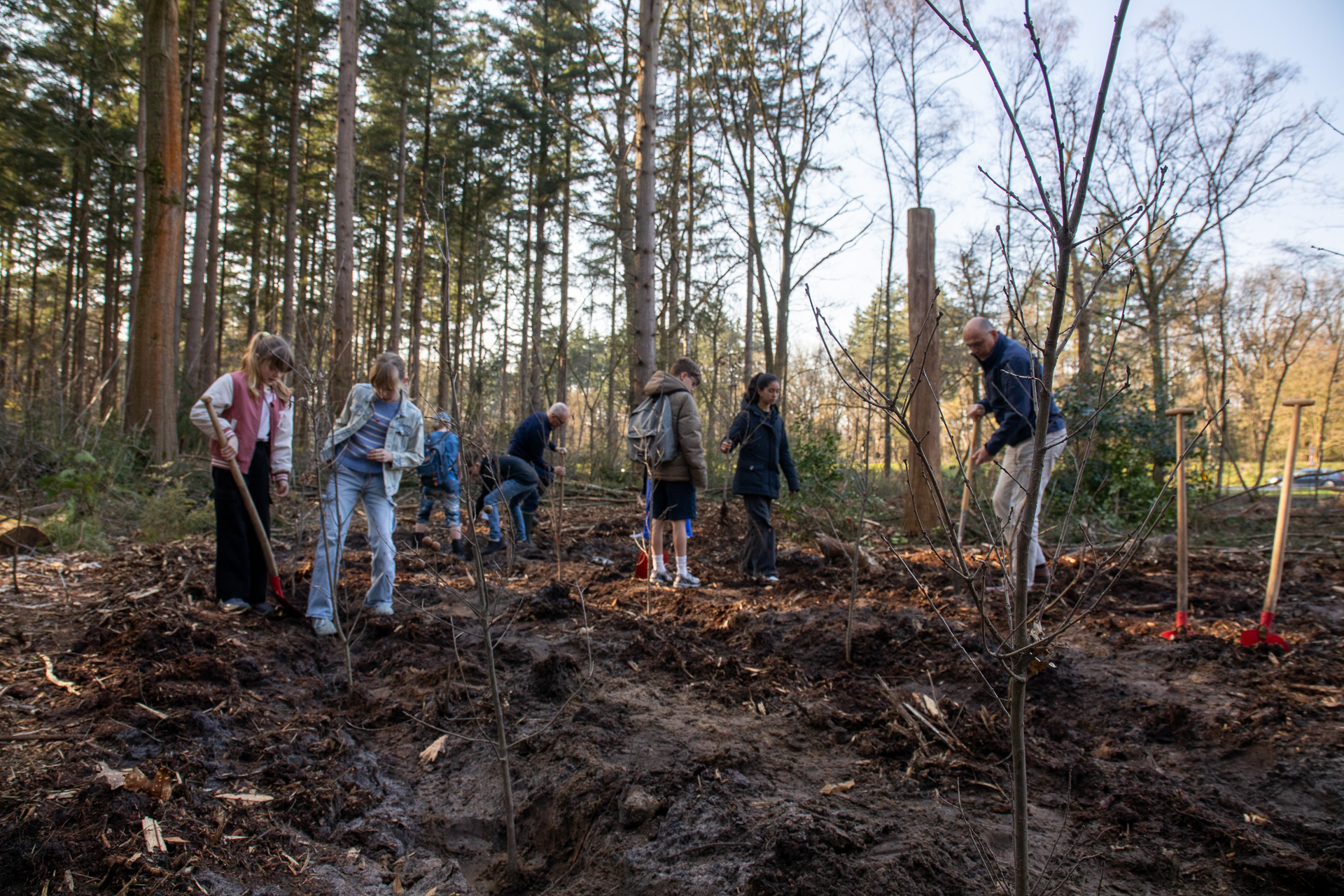 Handen uit de mouwen in Sonse Bossen om bomen te planten