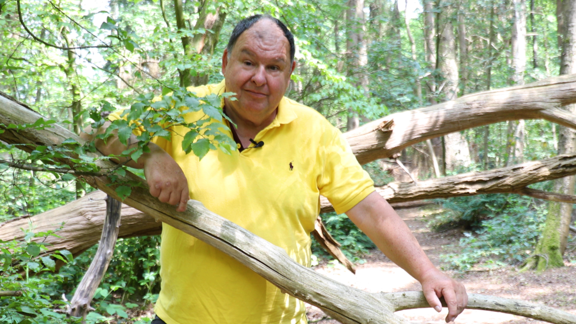 Peer Spooren tussen omgevallen bomen in de Sonse Bergen